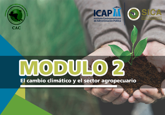 Módulo 2 - Diplomado - El Cambio climático y el sector agropecuario - CAC -