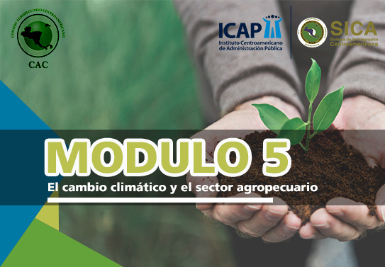 Módulo 5 - Diplomado - El Cambio climático y el sector agropecuario - CAC -