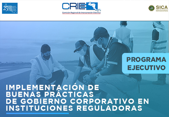 Programa ejecutivo para la implementación de buenas prácticas de gobierno corporativo en instituciones reguladoras CRIE