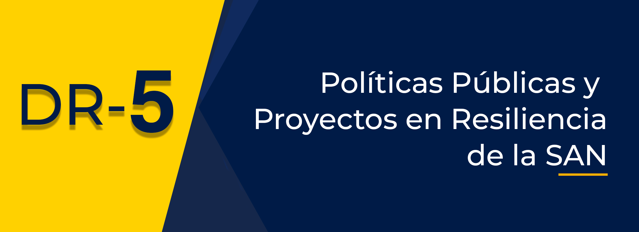 DR 5. Políticas Públicas y Proyectos en Resiliencia de la SAN (DIRESAN IV-2023)